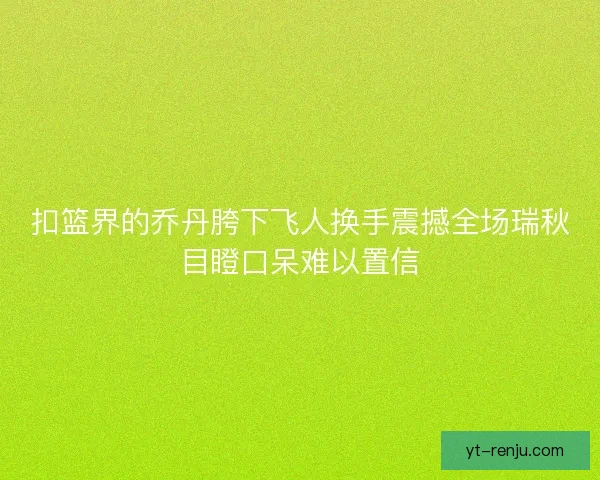 扣篮界的乔丹胯下飞人换手震撼全场瑞秋目瞪口呆难以置信